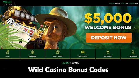 wild casino bonus code/